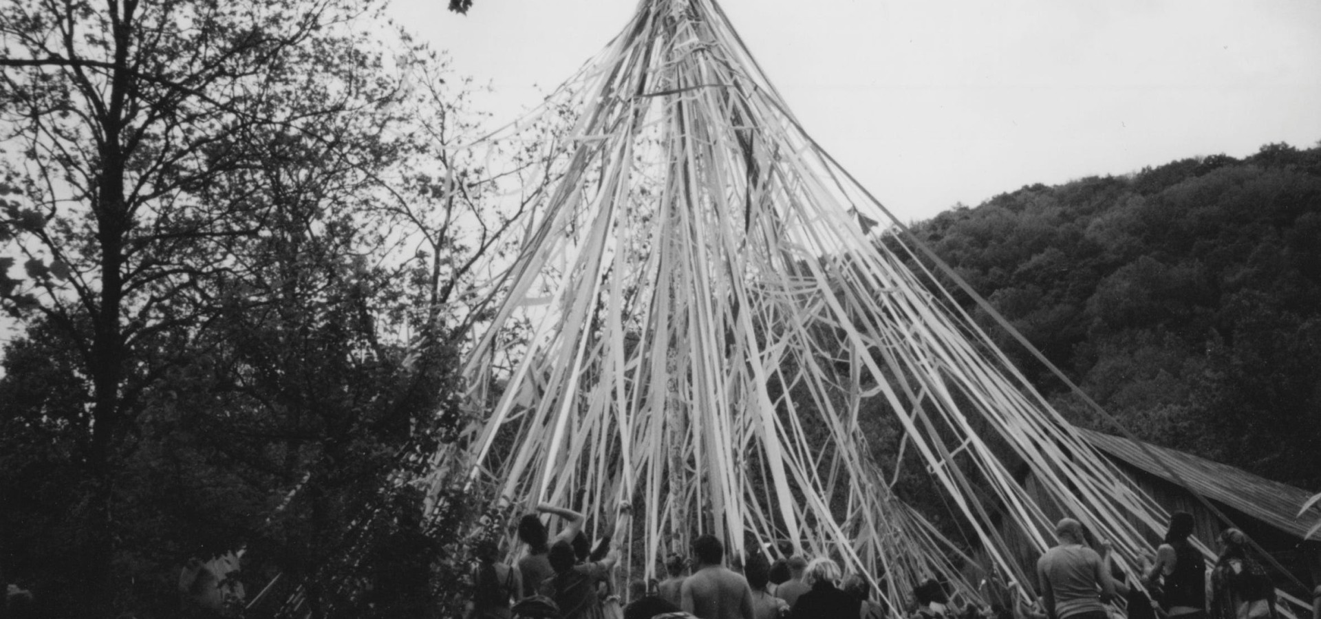 Getting to the roots of the things